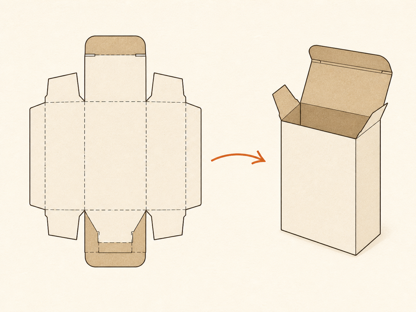 Generated line-art diagram of a folding carton shown flat and assembled