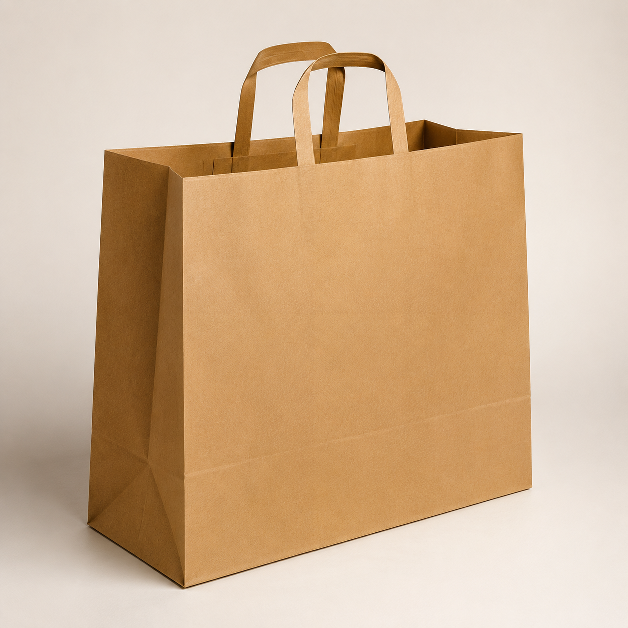 Homeware Store Large Paper Bag