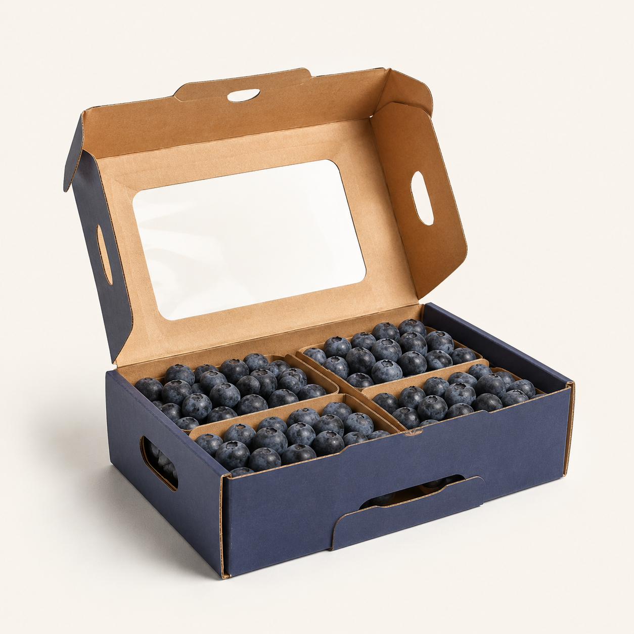 Blueberry Produce Presentation Box