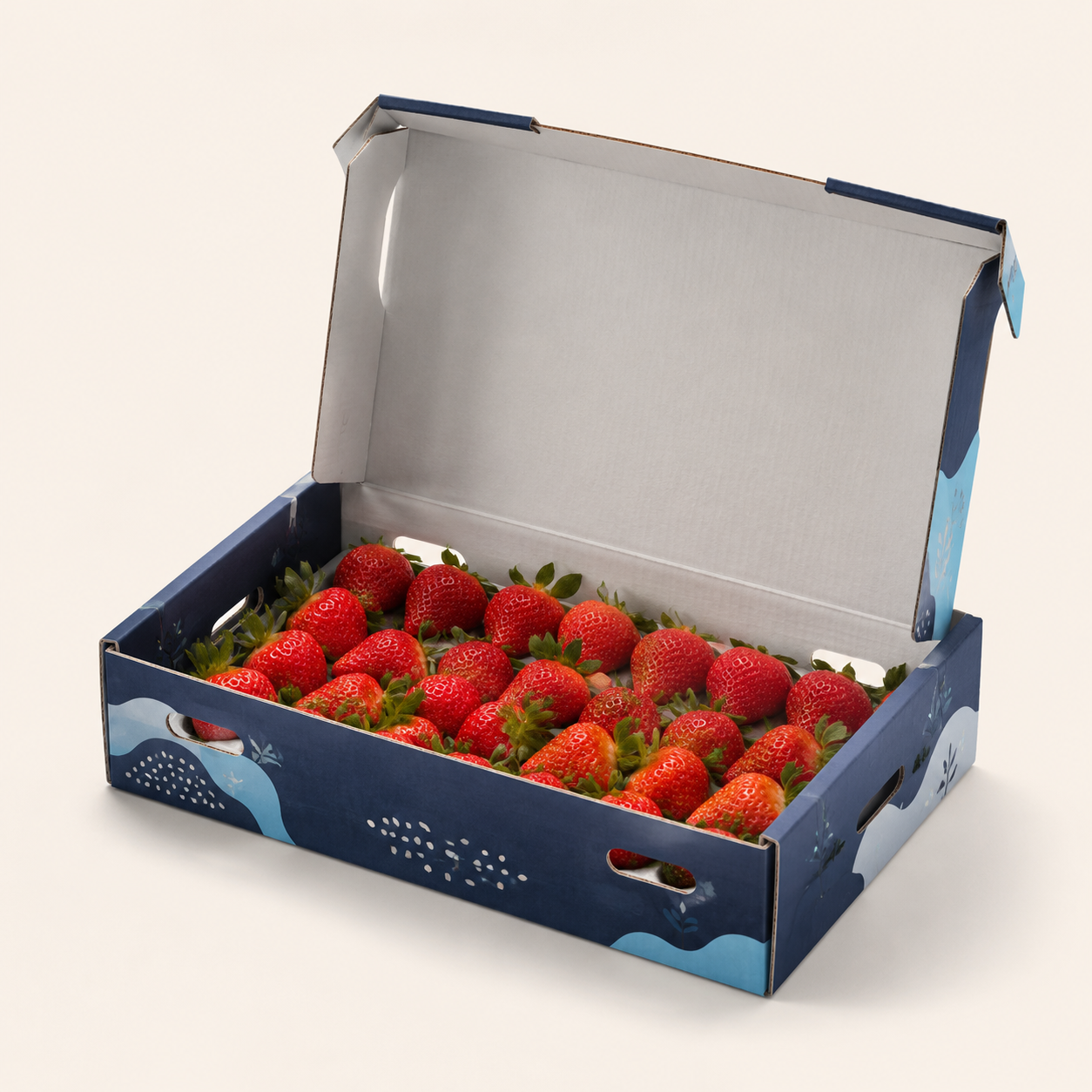Fresh Strawberry Produce Presentation Box
