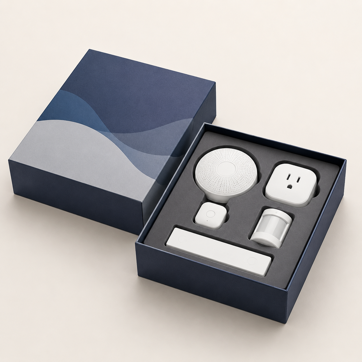 Smart Home Kit Rigid Setup Box